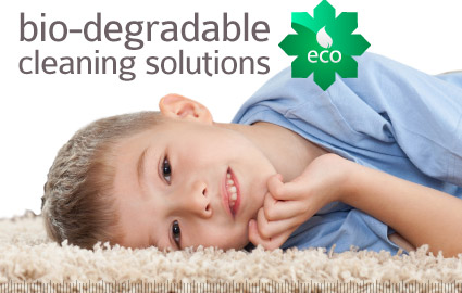 Green Cleaning Solutions